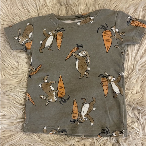 🐰 Carter’s | Bunny jammies | 2T - Picture 3 of 11